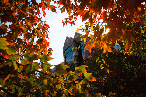 The front of the Bailey College of Engineering and Technology brick building is visible in the background through brightly colored orange and green foliage in Spring.  